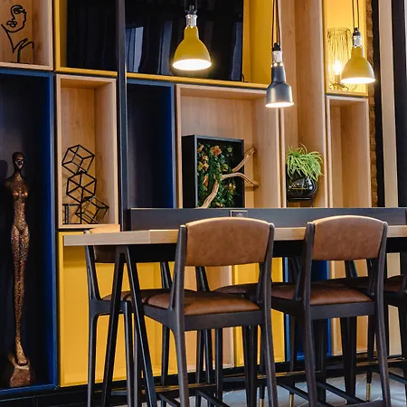 Ibis Centre Stanislas מלון 3*