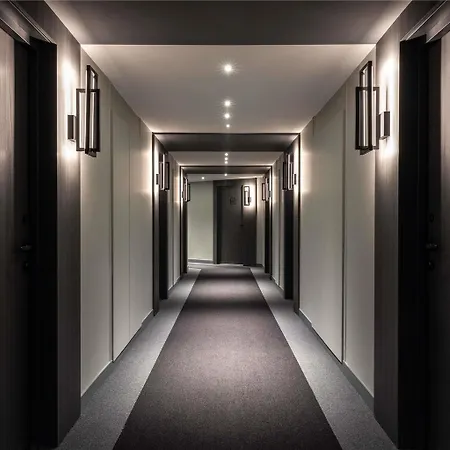 Ibis Centre Stanislas Otel 3*